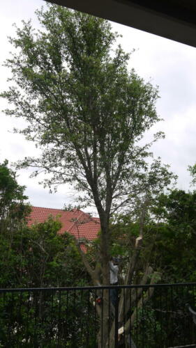 P1080745